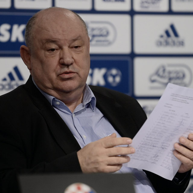 Damir Zorić