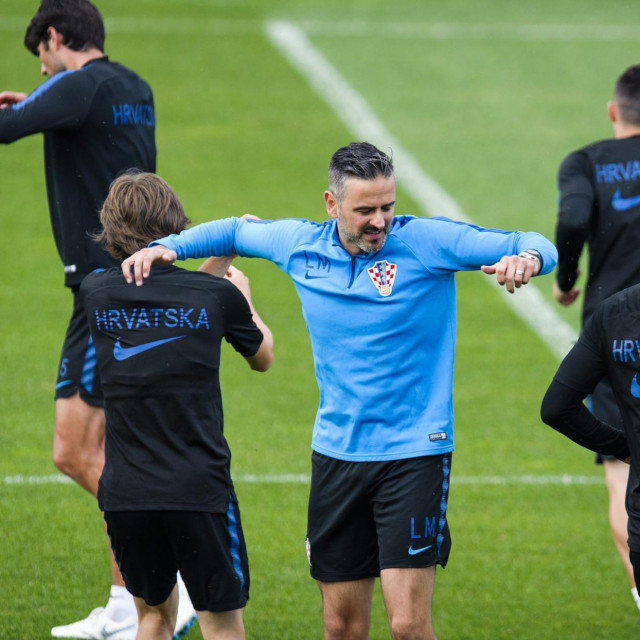 Kondicijski trener Luka Milanović
 