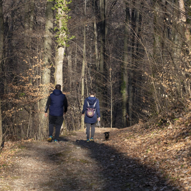 Park prirode Papuk, Park šuma Jankovac
 