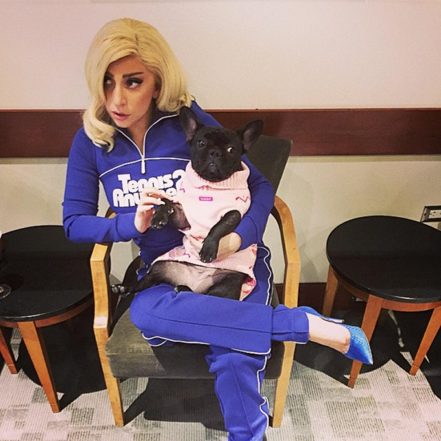 Lady Gaga i njen buldog Asia