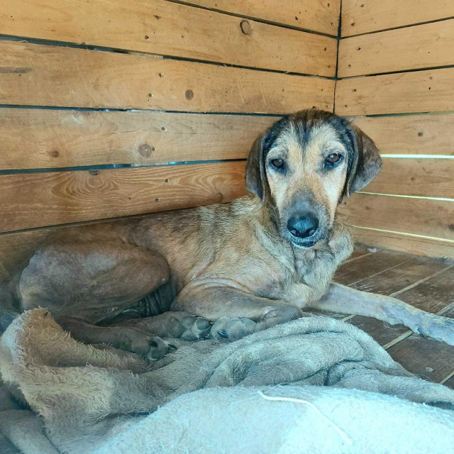 Lora prije šest mjeseci