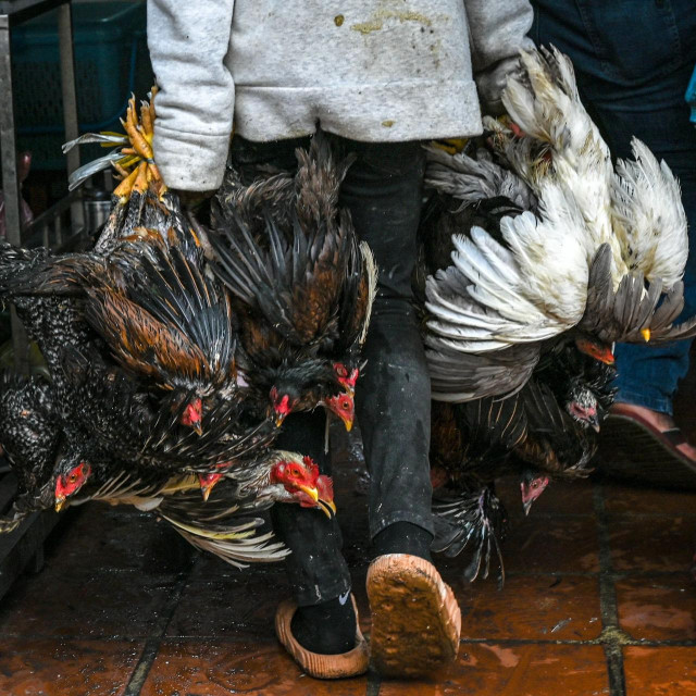 Znanstvenik je rekao da ja malo vjerojatno da je virus mutirao dok je bio u djevojci