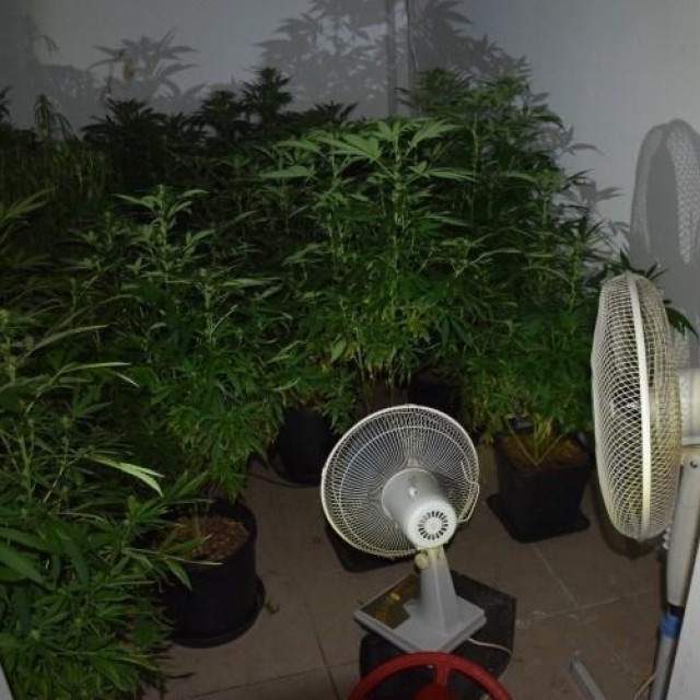 Laboratorij Valentina G.