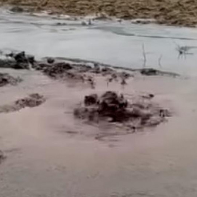 Izbijanje nafte u Ježevu