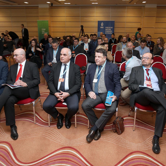 Ivo Milatić, Vladislav Brkić, Ivica Toljan, Neven Duić