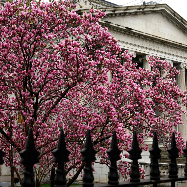 Ministarstvo financija u Washingtonu