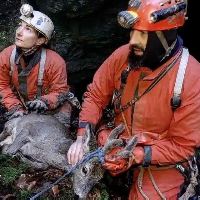 Spašavanje srndaća iz 50-metarske jame