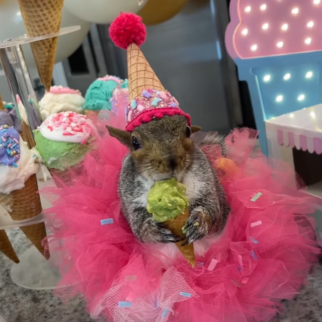 Palčica slavi rođendan