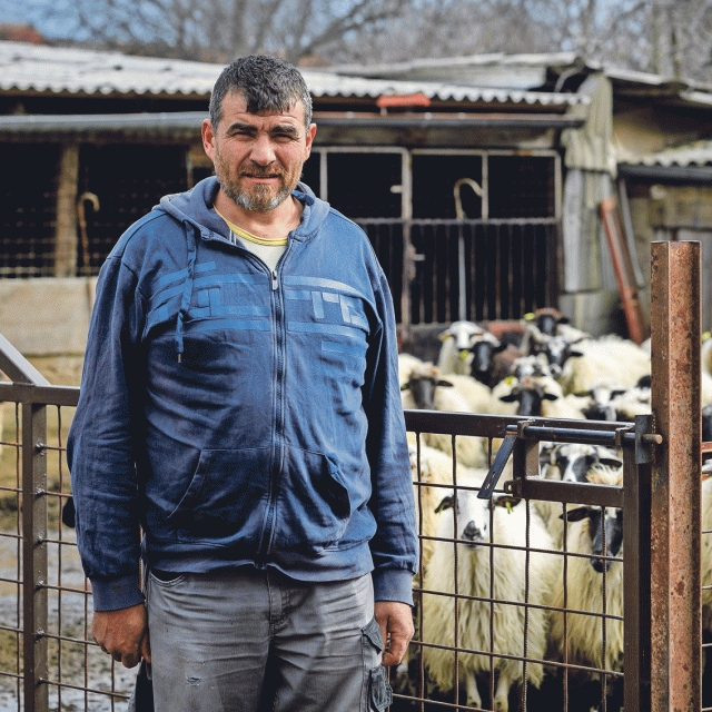 Goran Brkić