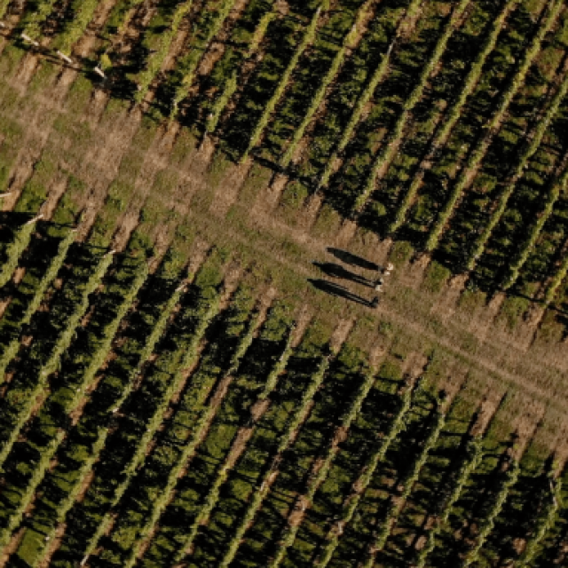 Prikaz film “Zagreb County A Taste Above”