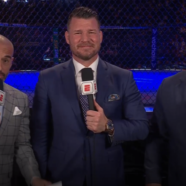 Anik, Bisping i Cormier