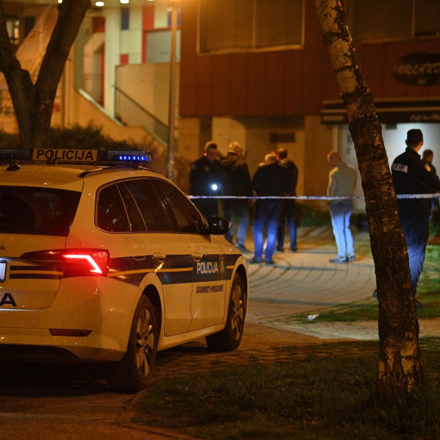 Očevid u Ulici Božidara Magovca