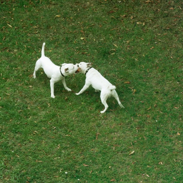 Ilustrativna fotografija