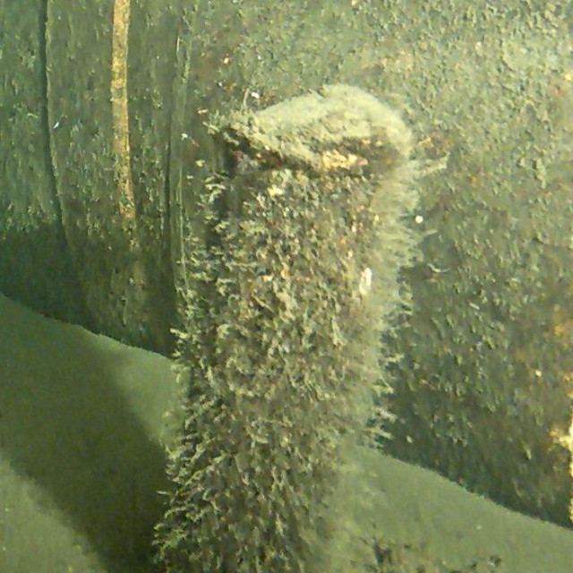 Fotografiju objekta je objavila danska Agencija za energiju i ministarstvo obrane