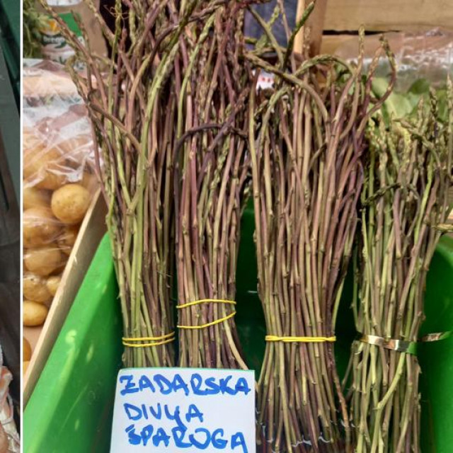 Škampi i šparoge