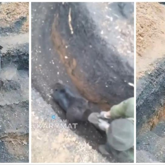 Borba s dabrovima na ukrajinskom frontu