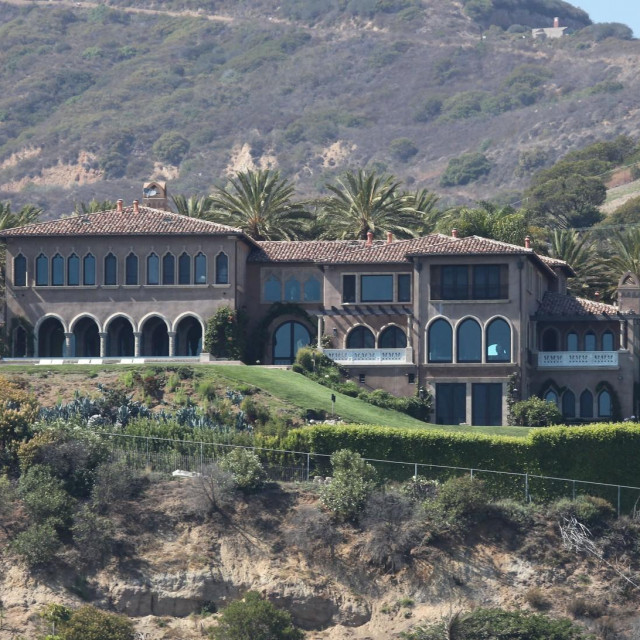 Kuća je okružena palmama