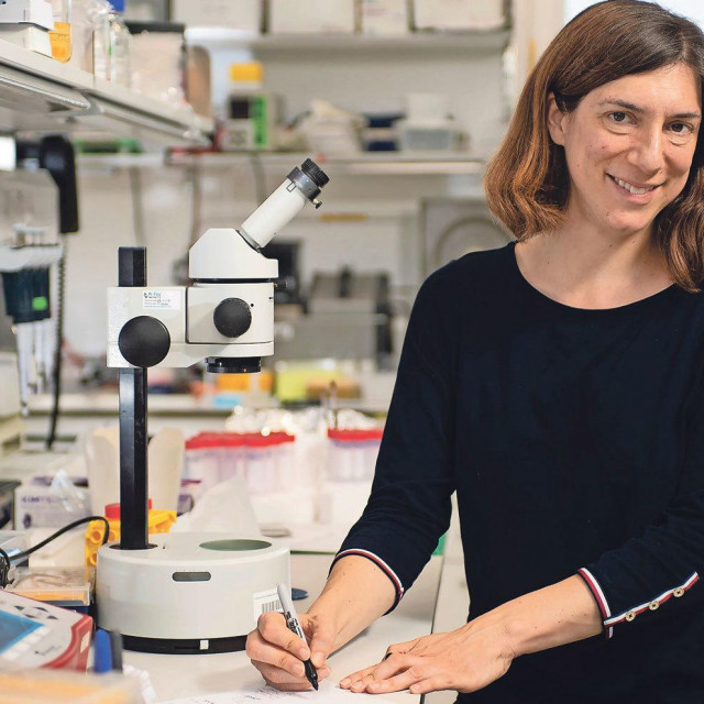 Prof. dr. Marta Zlatić