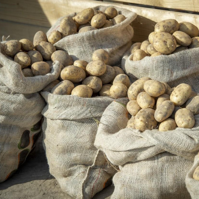 Krumpir, ilustracija