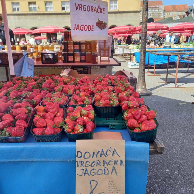 Vrgoračke jagode