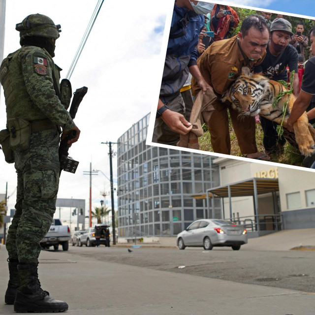 Meksička vojska, Tigar (ilustracija)