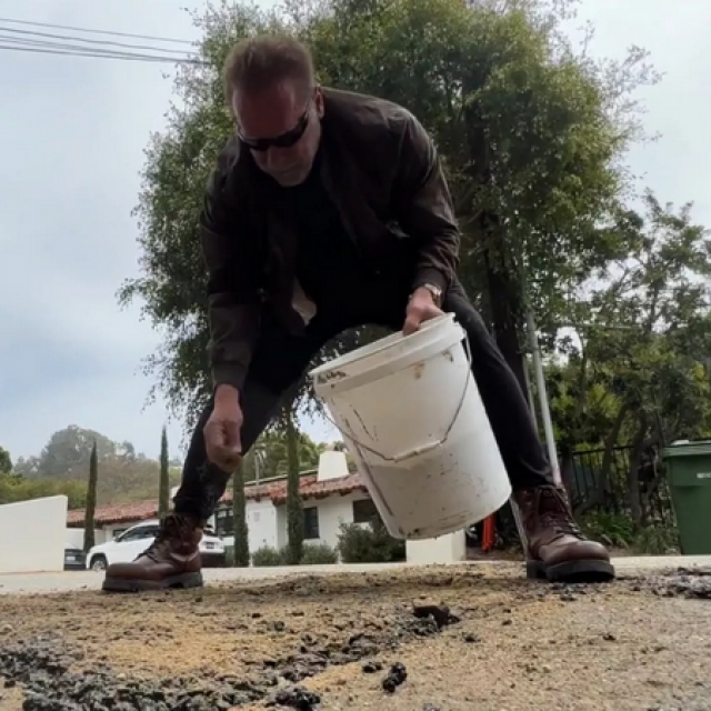 Arnold Schwarzenegger