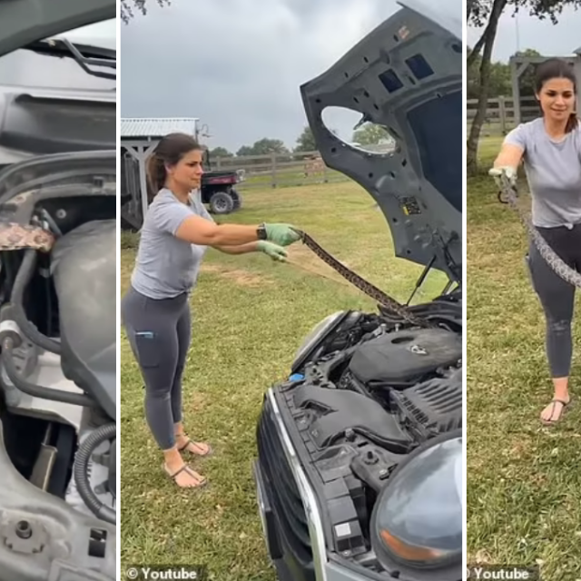 Screenshot incidenta