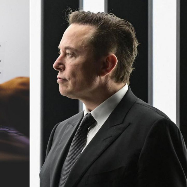 Chat GP i Elon Muska