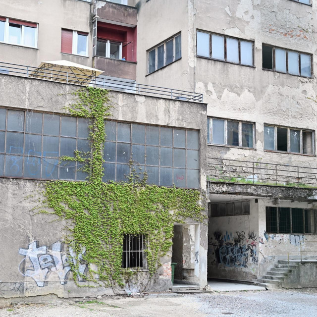 Kompleks Nada Dimić