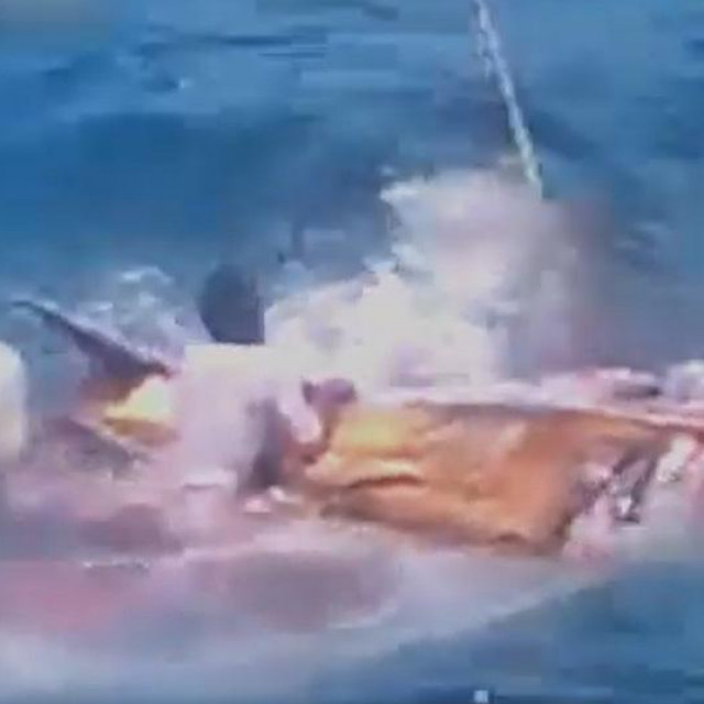 Isječak videosnimke ubojstva na moru