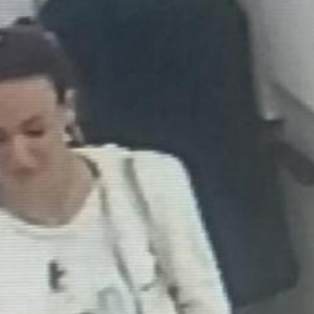 Prevarantica u bijegu