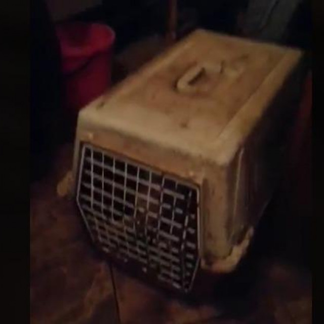 Transporter u kojem su živjele 