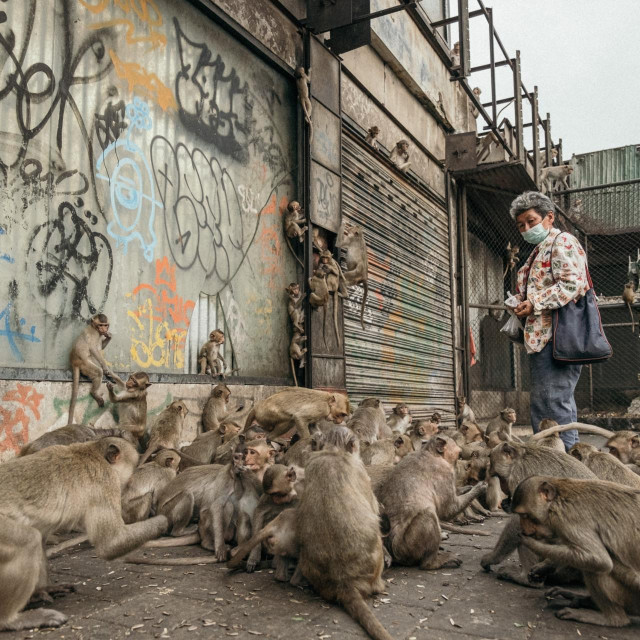 Ilustrativna fotografija