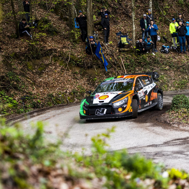 Thierry Neuville 