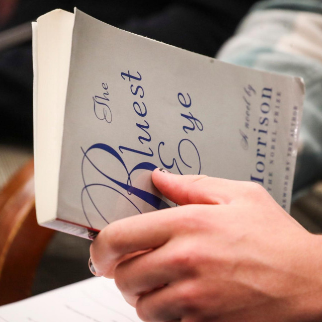 The Bluest Eye Tony Morrison