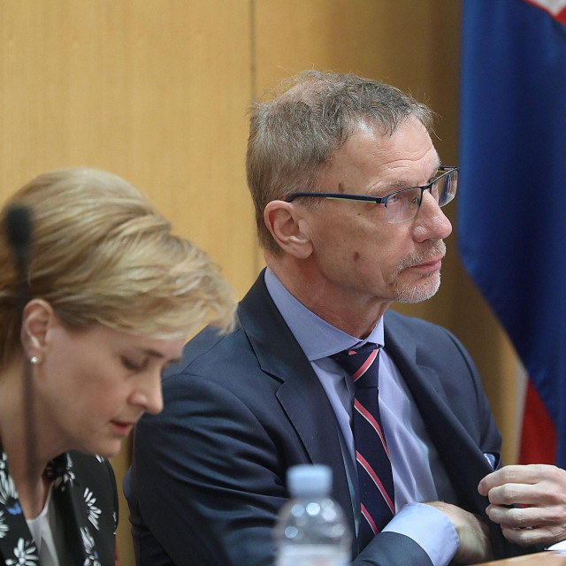 Sandra Švaljek, Guverner HNB-a Boris Vujčić