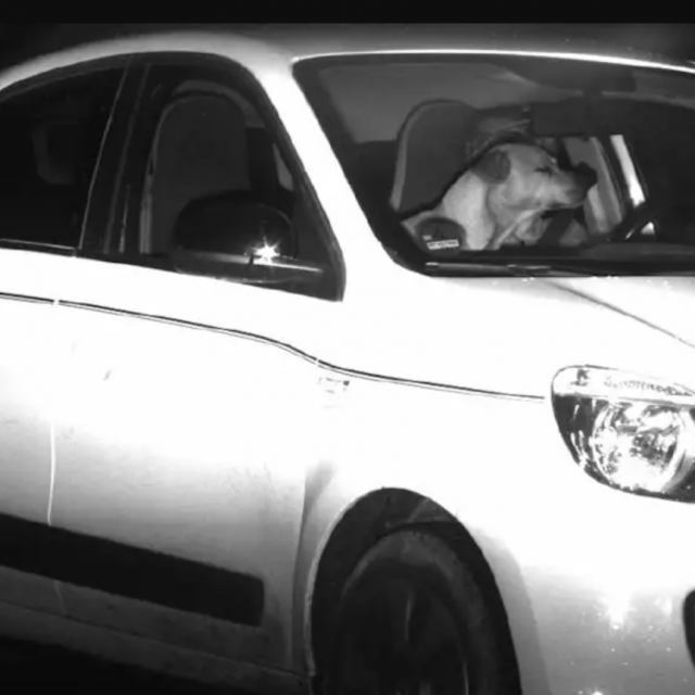 Policijska fotografija nadzorne kamere