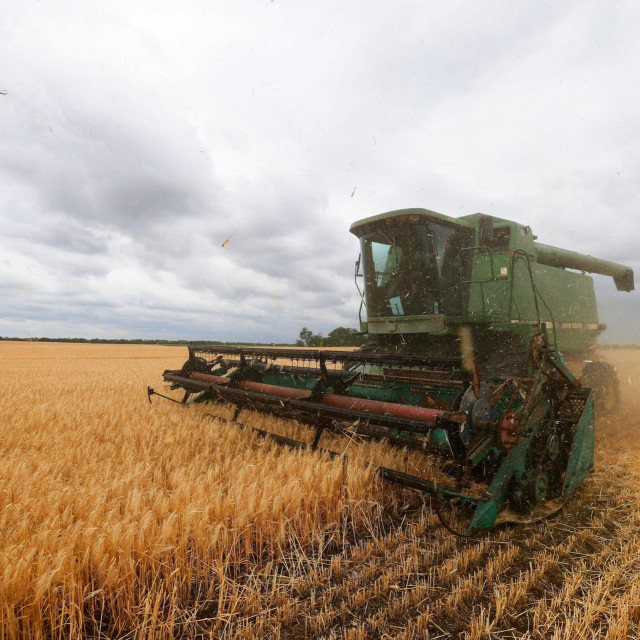 Ukrajinsko žitno polje