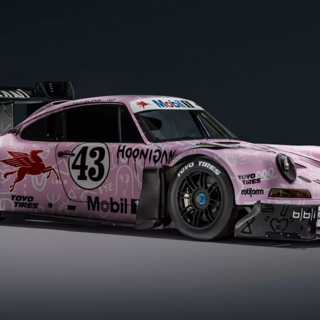 Porsche 911 ‘Hoonipigasus‘