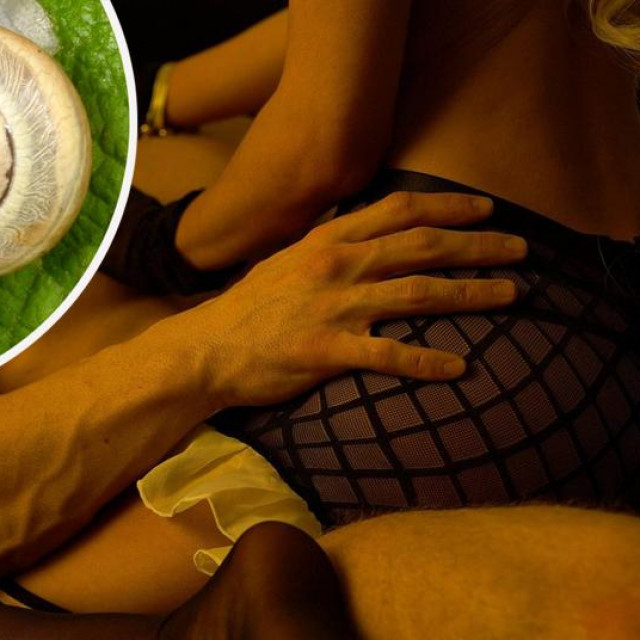 Puževi (ilustracija)