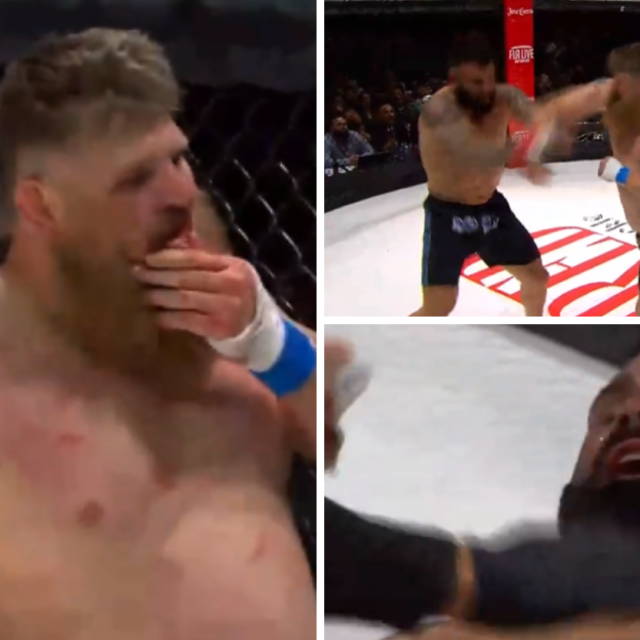 Roy Nelson vs. Dillon Cleckler (dolje desno)