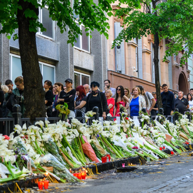 Cvijeće na ulazu u OŠ Vladislav RIbnikar