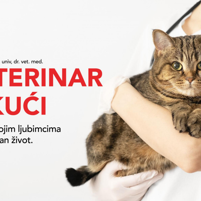 Purina Veterinar u kući