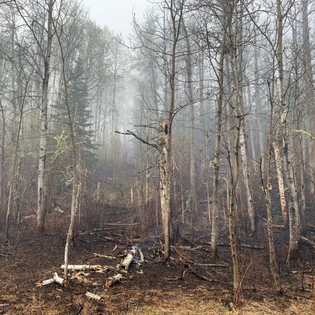 Zbog požara koji su zahvatili široko područje više od 30.000 ljudi prisiljeno je napustiti domove