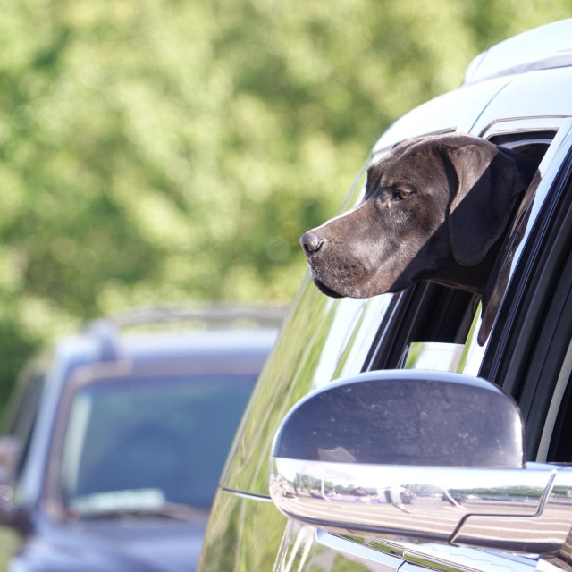 Ilustrativna fotografija