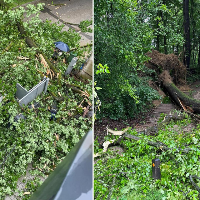 Srušeno stablo u Kosirnikovoj ulici u Zagrebu