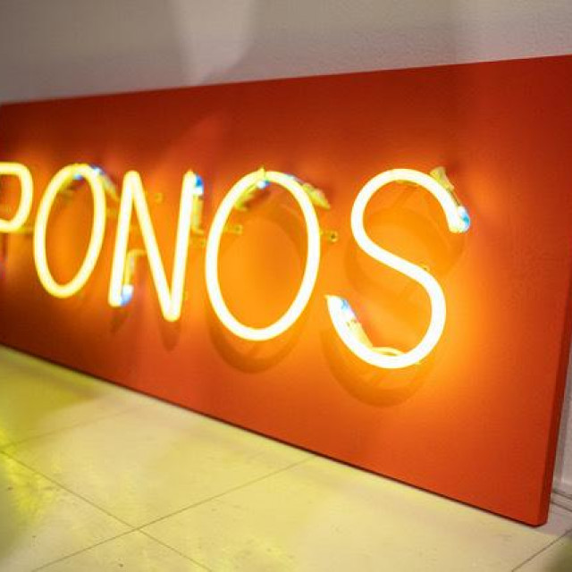 Ponos
Sanja Iveković
Galerija Nova