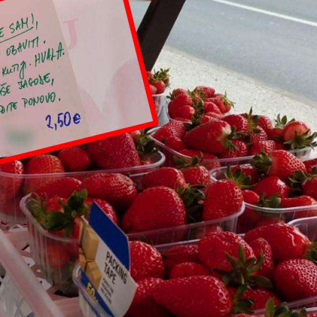 Jagode iz Graberja