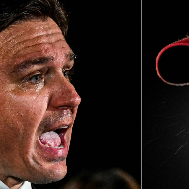 Ron DeSantis, Donald Trump