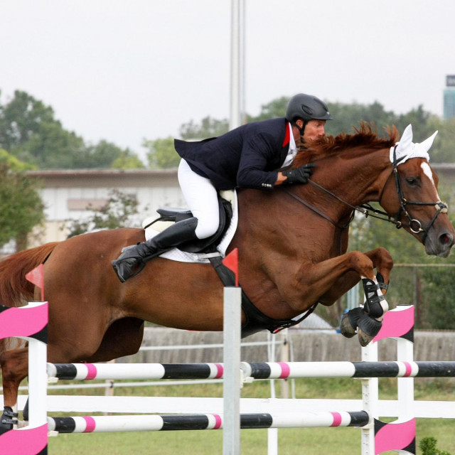 Lipanjski turnir, konji, Zagreb